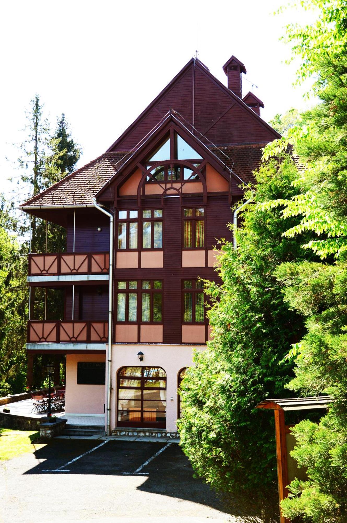 Ezuestfenyo Hotel Телькибанья Экстерьер фото